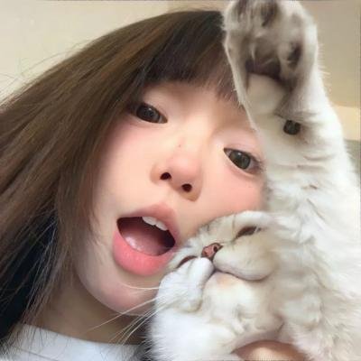 冷战间谍网