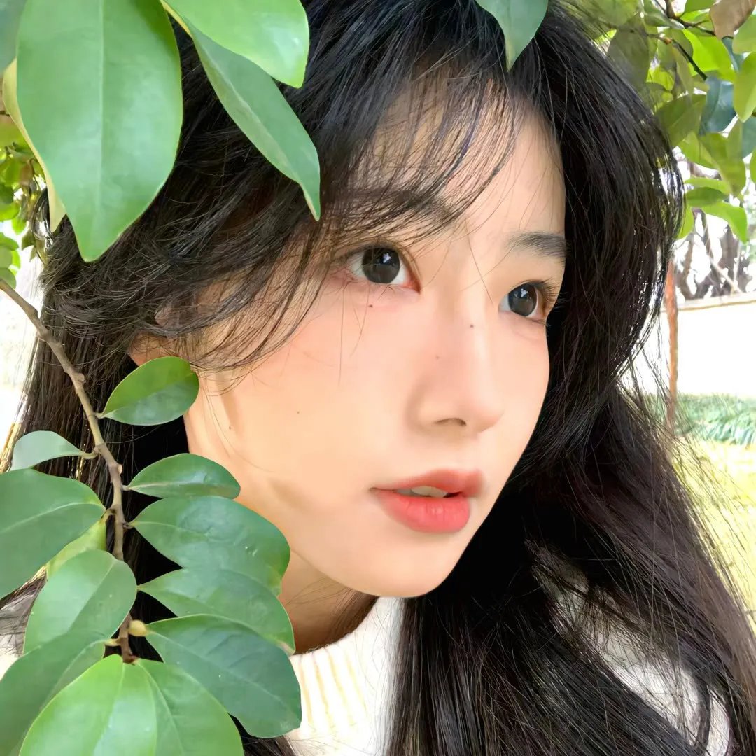 热舞校花团